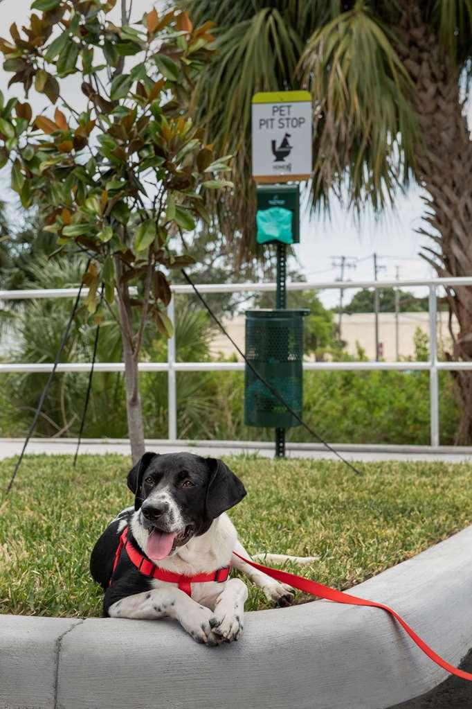 Home2 Suites By Hilton Tampa Westshore Airport Eksteriør billede