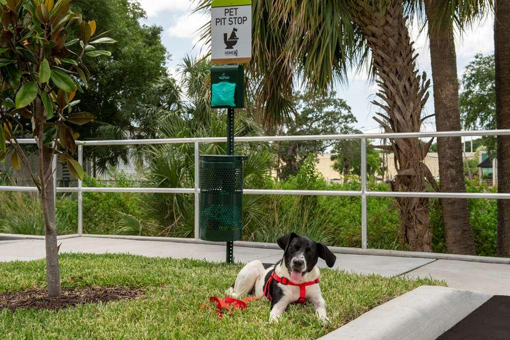 Home2 Suites By Hilton Tampa Westshore Airport Eksteriør billede
